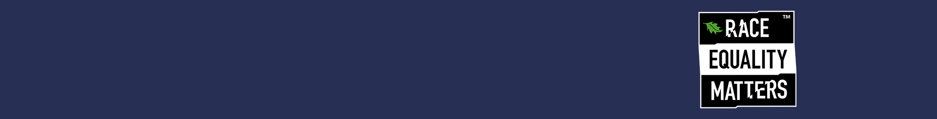 Race Equality Matters logo