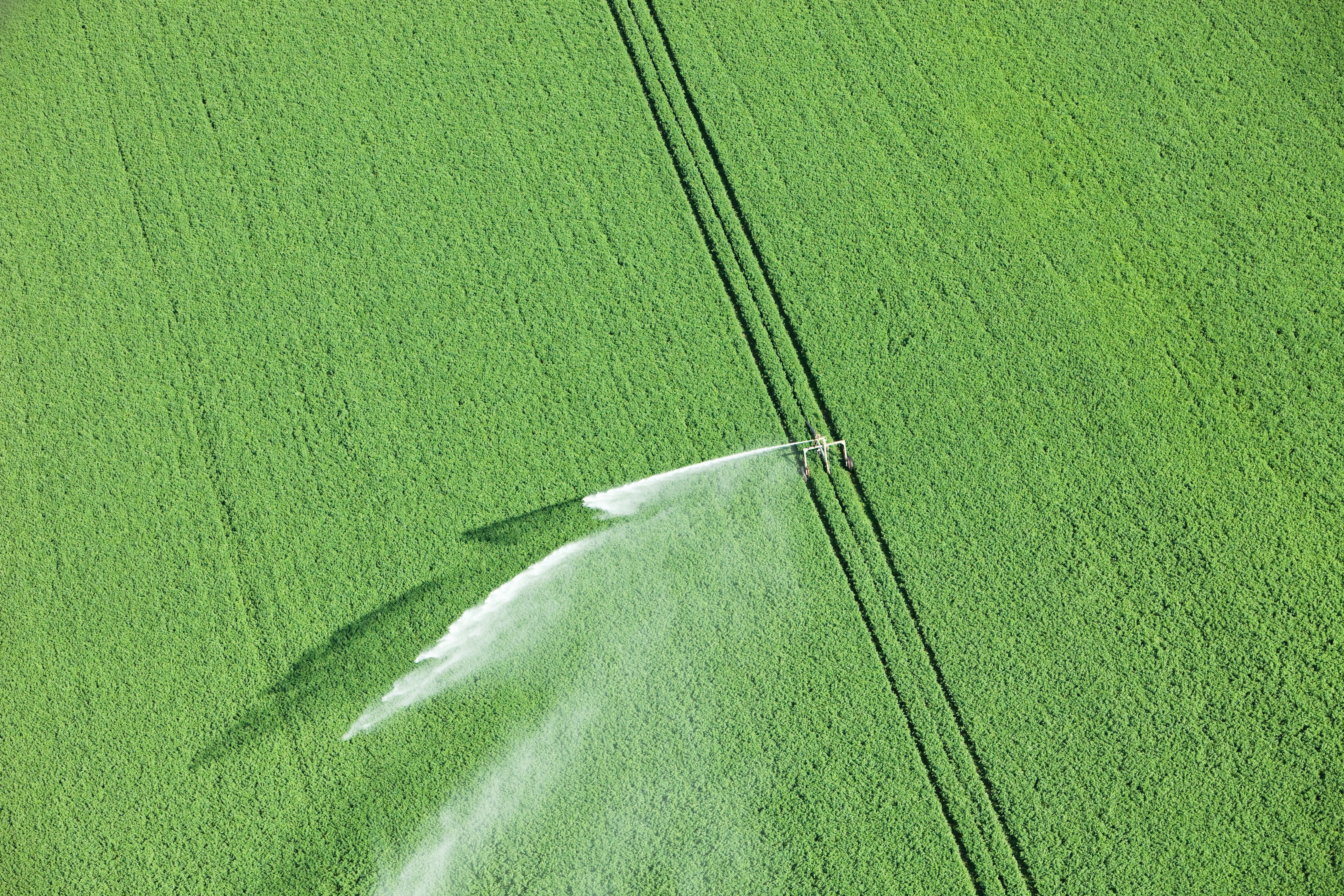 Framing crops