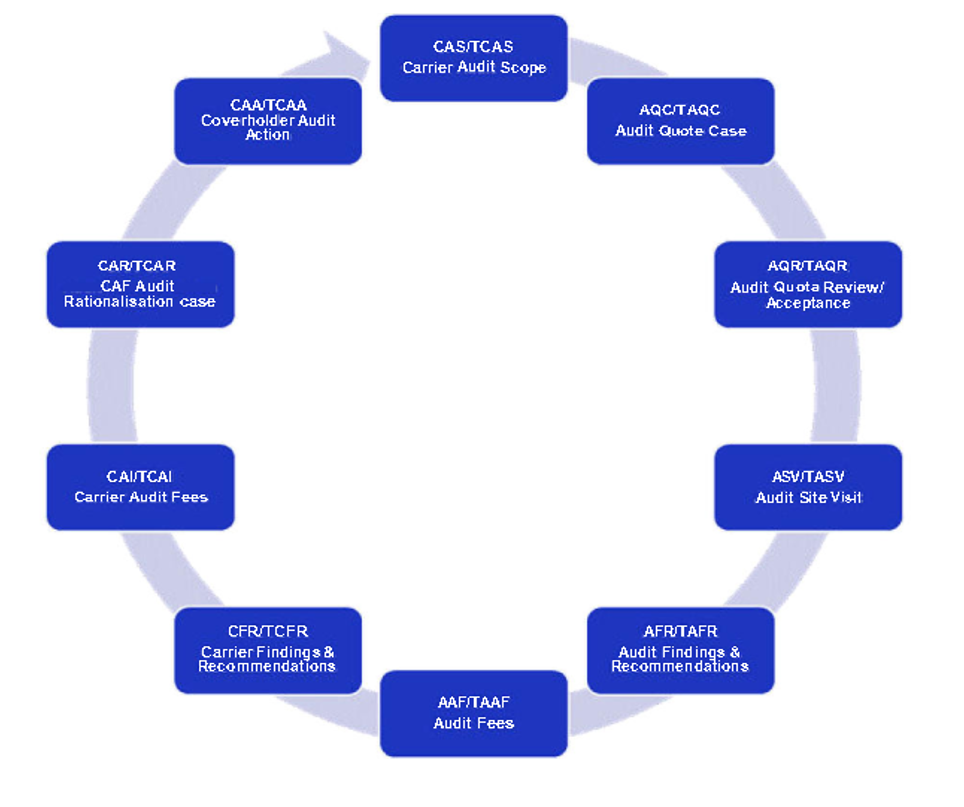 Circular diagram illustrating the DAM end-to-end workflow process. The process begins with ‘Carrier Audit Scope,’ followed clockwise by ‘Audit Quote Case,’ ‘Audit Quote Review/Acceptance,’ ‘Audit Site Visit,’ ‘Audit Findings & Recommendations,’ and ‘Audit Fees.’ The workflow then continues into carrier-related steps: ‘Carrier Findings & Recommendations,’ ‘Carrier Audit Fees,’ ‘CAF Audit Rationalisation Case,’ and ‘Coverholder Audit Action,’ before looping back to ‘Carrier Audit Scope,’ showing a continuous audit lifecycle.