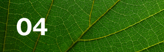 Lloyd's climate leaf 04