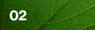 Lloyd's climate leaf 02