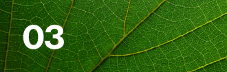 Lloyd's climate leaf 03