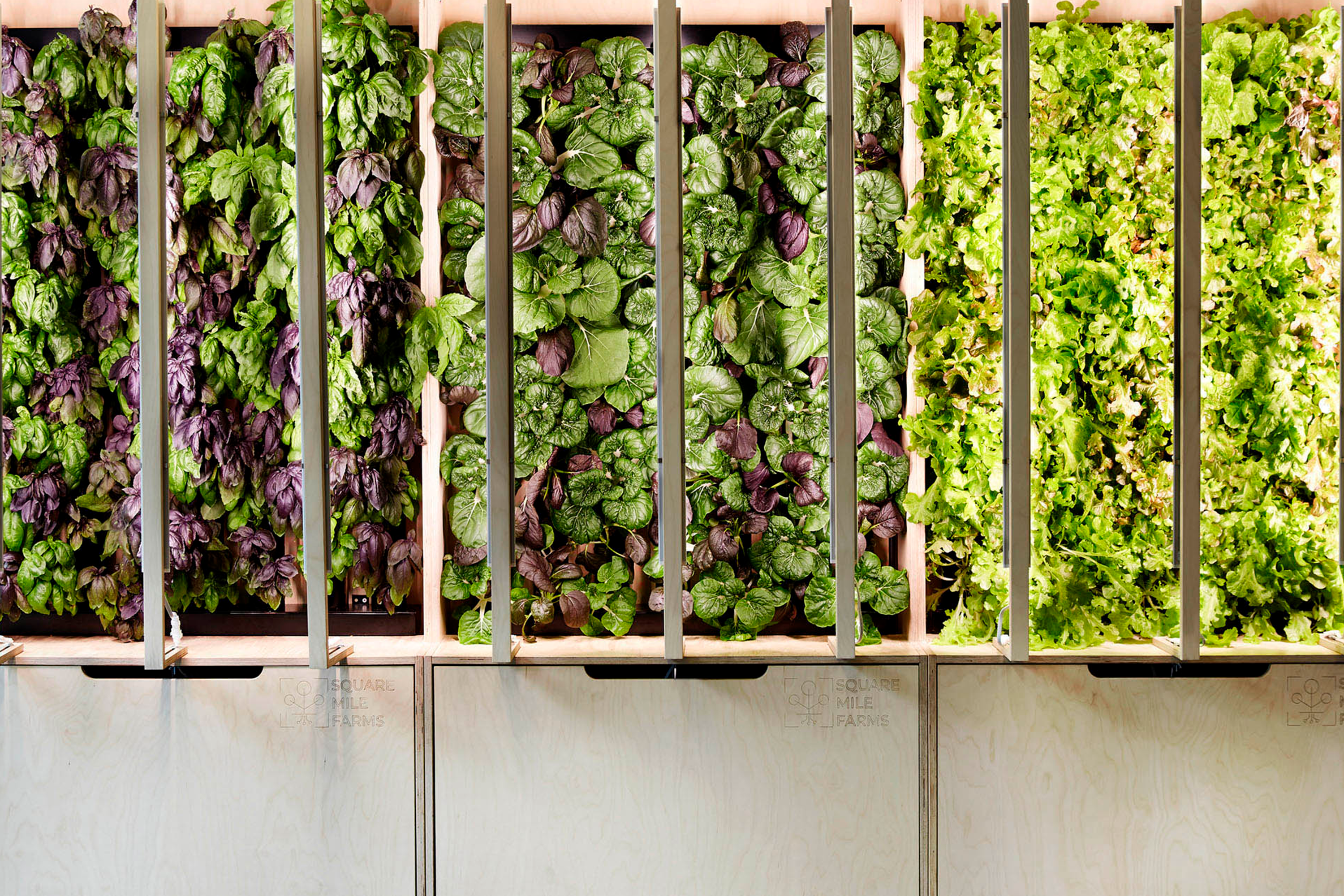 Vertical farm wall