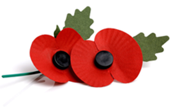 The Remembrance Poppy