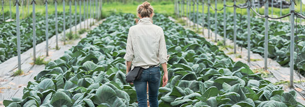 Worker walking through a greenhouse full of plants