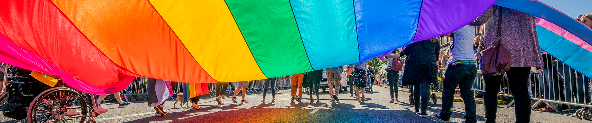 People marching with a pride flag
